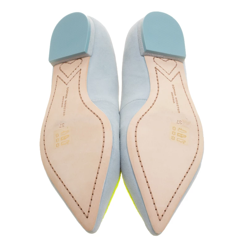 Sophia Webster Light Blue Embroidered Suede Bibi Butterfly Pointed Toe Ballet Flats Size 37 For Women - Image 6